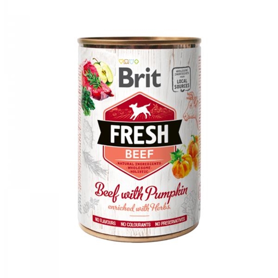 Picture of Brit Fresh Beef with Pumpkin | Complete Wet Dog Food